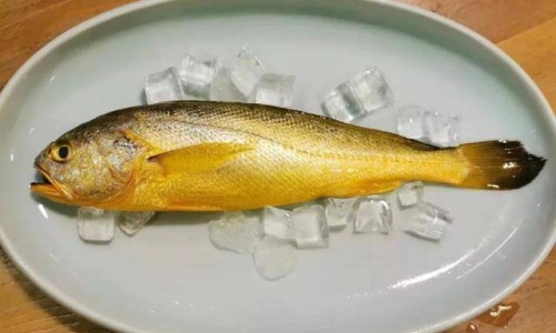 鳕鱼营养价值详解-鳕鱼鱼100g营养成分表网100克鳕鱼的营养成分知识网站,分享鳕鱼的营养价大全