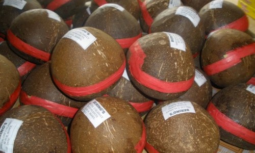 鳕鱼营养成分表 100g-鳕鱼鱼100g营养成分表网100克鳕鱼的营养成分知识网站,分享鳕鱼的营养价大全